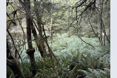 45088 Hwy 101, Sixes, OR 97476 - Photo 26