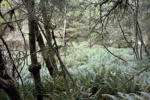 45088 Hwy 101, Sixes, OR 97476 - Photo 26