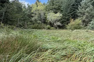 45088 Hwy 101, Sixes, OR 97476 - Photo 34