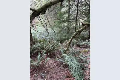 45088 Hwy 101, Sixes, OR 97476 - Photo 24
