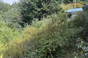 45088 Hwy 101, Sixes, OR 97476 - Photo 38