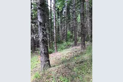 00 Cater (East) Rd, Warren, OR 97053 - Photo 6