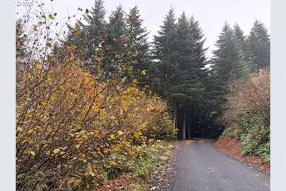 00 Cater (East) Rd, Warren, OR 97053 - Photo 14