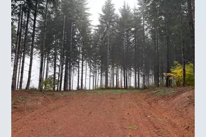 00 Cater (East) Rd, Warren, OR 97053 - Photo 20
