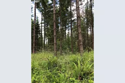 00 Cater (East) Rd, Warren, OR 97053 - Photo 2