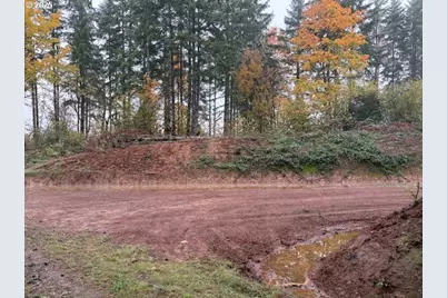 00 Cater (East) Rd, Warren, OR 97053 - Photo 18