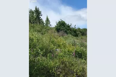 00 Cater (East) Rd, Warren, OR 97053 - Photo 8