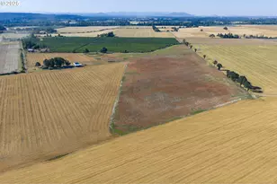 37225 Jefferson-Scio Dr, Scio, OR 97374 - Photo 6