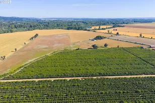 37225 Jefferson-Scio Dr, Scio, OR 97374 - Photo 10