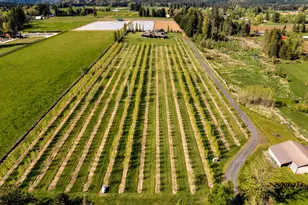 5102 Woodworth Dr., Mt Hood Prkdl, OR 97041 - Photo 46