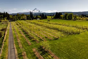 5102 Woodworth Dr., Mt Hood Prkdl, OR 97041 - Photo 40