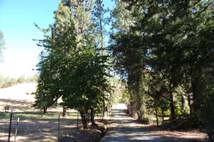 375 Jordan Creek Rd, Riddle, OR 97469 - Photo 42