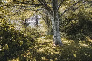 6485 Heron View Dr, Neskowin, OR 97149 - Photo 42