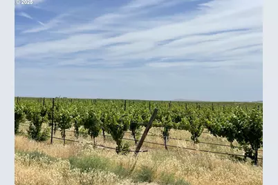 38 Vineyard View Dr, Bickleton, WA 99322 - Photo 18