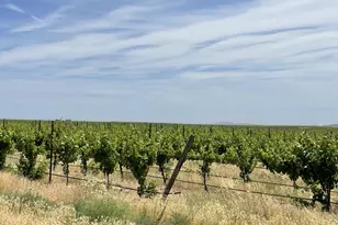 38 Vineyard View Dr, Bickleton, WA 99322 - Photo 18