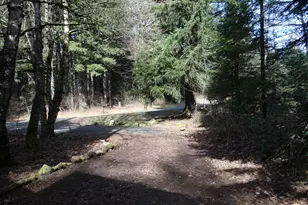 40747 NE Miller Rd, Washougal, WA 98671 - Photo 24