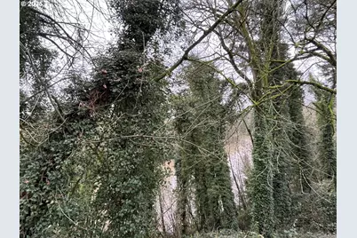 173 S Jefferson St, Lafayette, OR 97127 - Photo 12