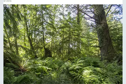 Ross Ln, Cannon Beach, OR 97110 - Photo 28