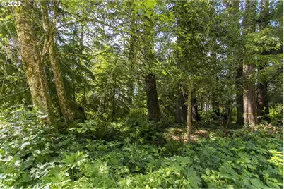 Ross Ln, Cannon Beach, OR 97110 - Photo 4