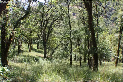 345 Sierra Dr, Roseburg, OR 97471 - Photo 1