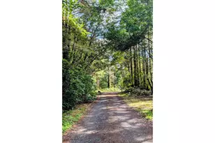 1250 Deady St, Port Orford, OR 97465 - Photo 46