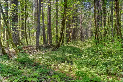 Hwy 141, BZ Corner, WA 98672 - Photo 10