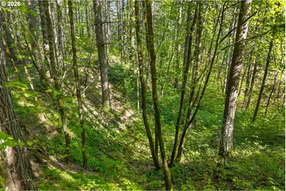 Hwy 141, BZ Corner, WA 98672 - Photo 6
