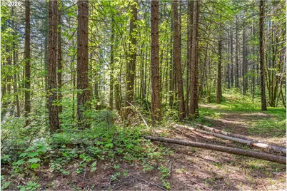 Hwy 141, BZ Corner, WA 98672 - Photo 18