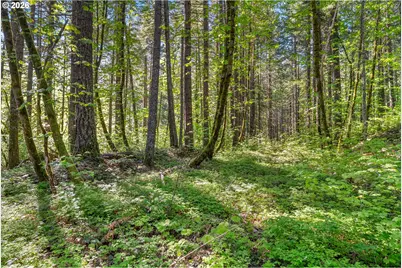 Hwy 141, BZ Corner, WA 98672 - Photo 16
