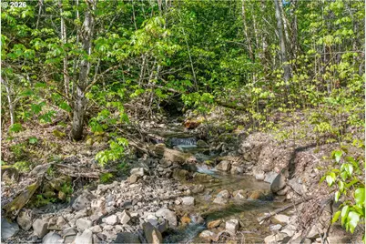 Hwy 141, BZ Corner, WA 98672 - Photo 14