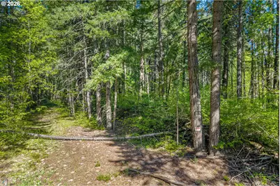 Hwy 141, BZ Corner, WA 98672 - Photo 8