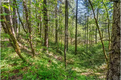 Hwy 141, BZ Corner, WA 98672 - Photo 20