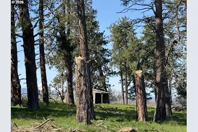 145 Hill Rd, Goldendale, WA 98620 - Photo 34