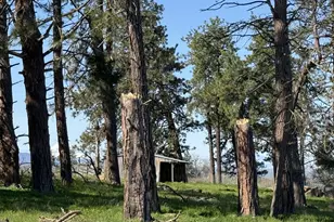 145 Hill Rd, Goldendale, WA 98620 - Photo 34