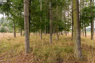 28900 SE Currin Rd, Estacada, OR 97023 - Photo 18