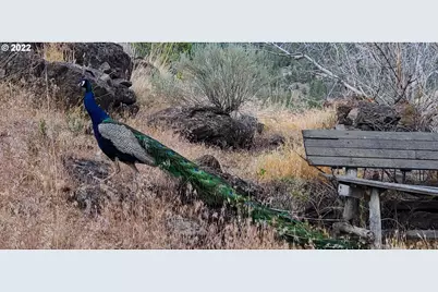 18990 SE Doubtful Dirt Rd, Prineville, OR 97754 - Photo 18