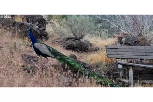 18990 SE Doubtful Dirt Rd, Prineville, OR 97754 - Photo 18