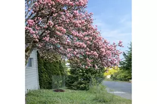 815 NW Merrie Dr, Corvallis, OR 97330 - Photo 40