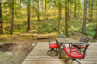 141 Northoowds Cabin, Cougar, WA 98616 - Photo 16