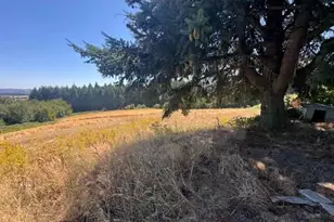 14270 SW Meeker Terrace, Hillsboro, OR 97123 - Photo 8