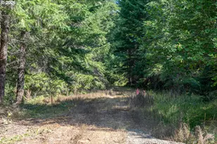 Hawk Meadows Rd, Carson, WA 98610 - Photo 1