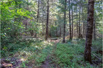 Hawk Meadows Rd #3, Carson, WA 98610 - Photo 6