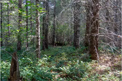 Hawk Meadows Rd #3, Carson, WA 98610 - Photo 4