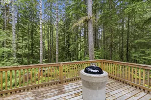 191 Northwoods Cabin, Cougar, WA 98616 - Photo 30