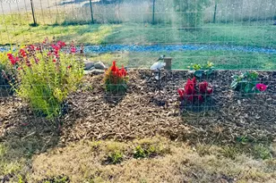 16391 S Hwy 101, Brookings, OR 97415 - Photo 38