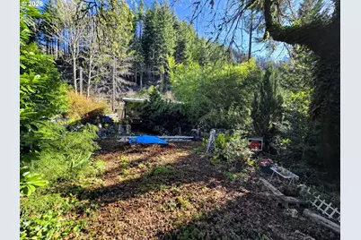 47995 McKenzie Hwy, Vida, OR 97488 - Photo 2