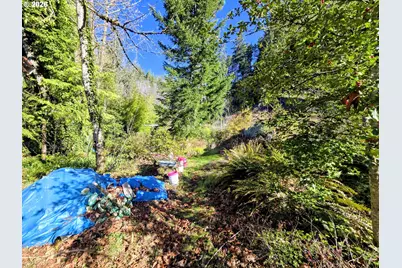 47995 McKenzie Hwy, Vida, OR 97488 - Photo 4