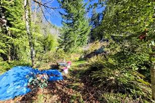 47995 McKenzie Hwy, Vida, OR 97488 - Photo 4