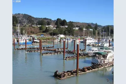 16319 Lower Harbor Rd, Brookings, OR 97415 - Photo 12