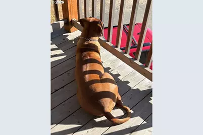 16319 Lower Harbor Rd, Brookings, OR 97415 - Photo 20